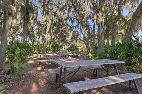 4345 Tatum Loop Odessa FL 33556