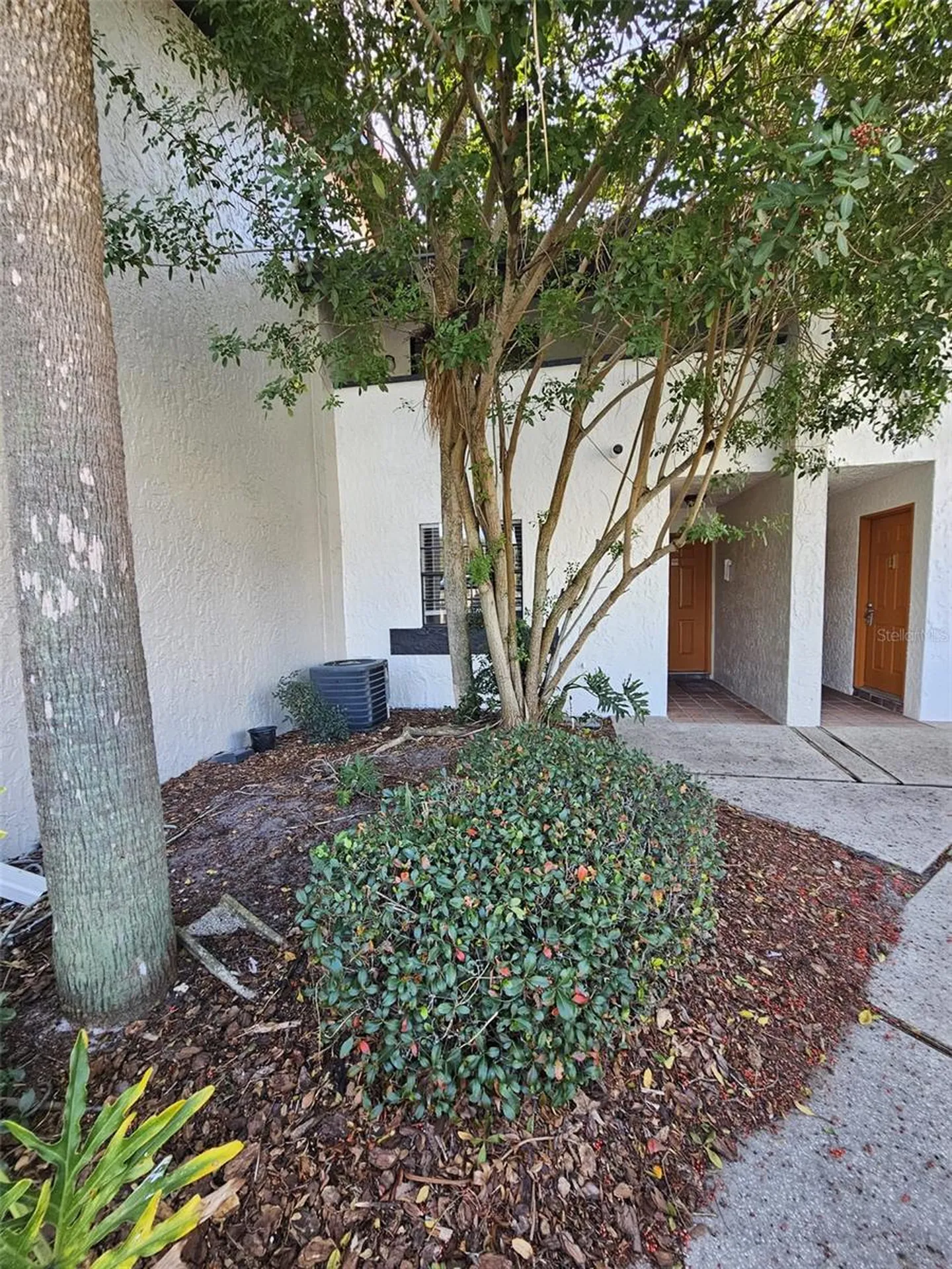 10232 Turkey Lake Road Orlando FL 32819