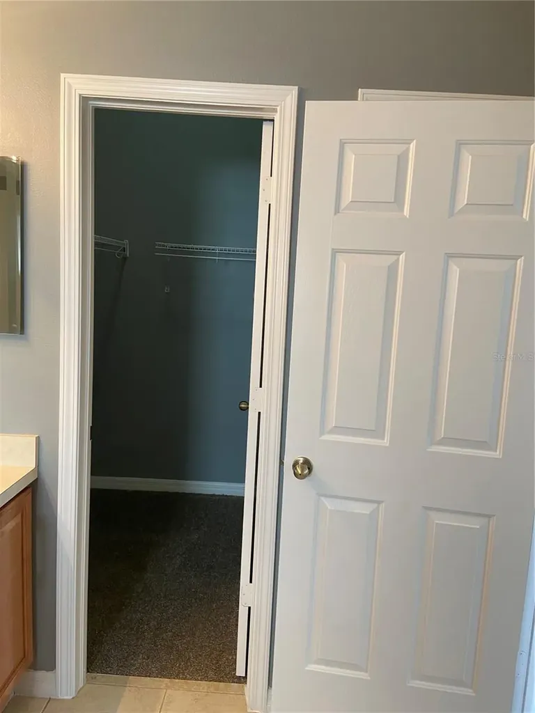 27546 Pleasure Ride Loop Wesley Chapel FL 33544
