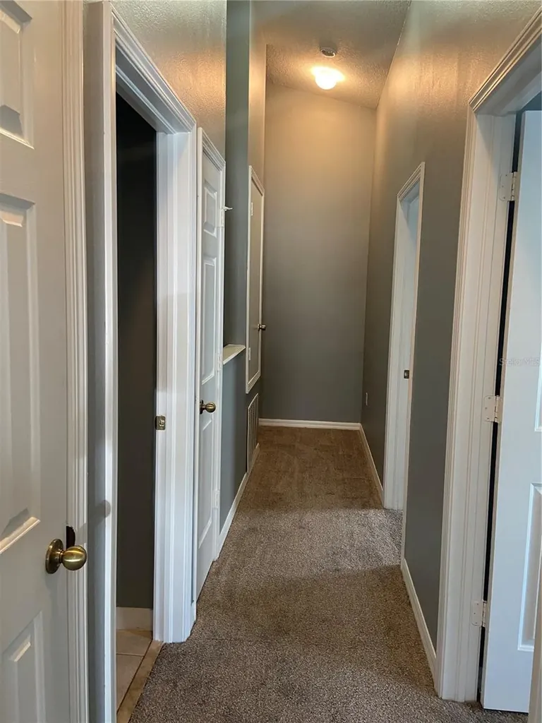 27546 Pleasure Ride Loop Wesley Chapel FL 33544