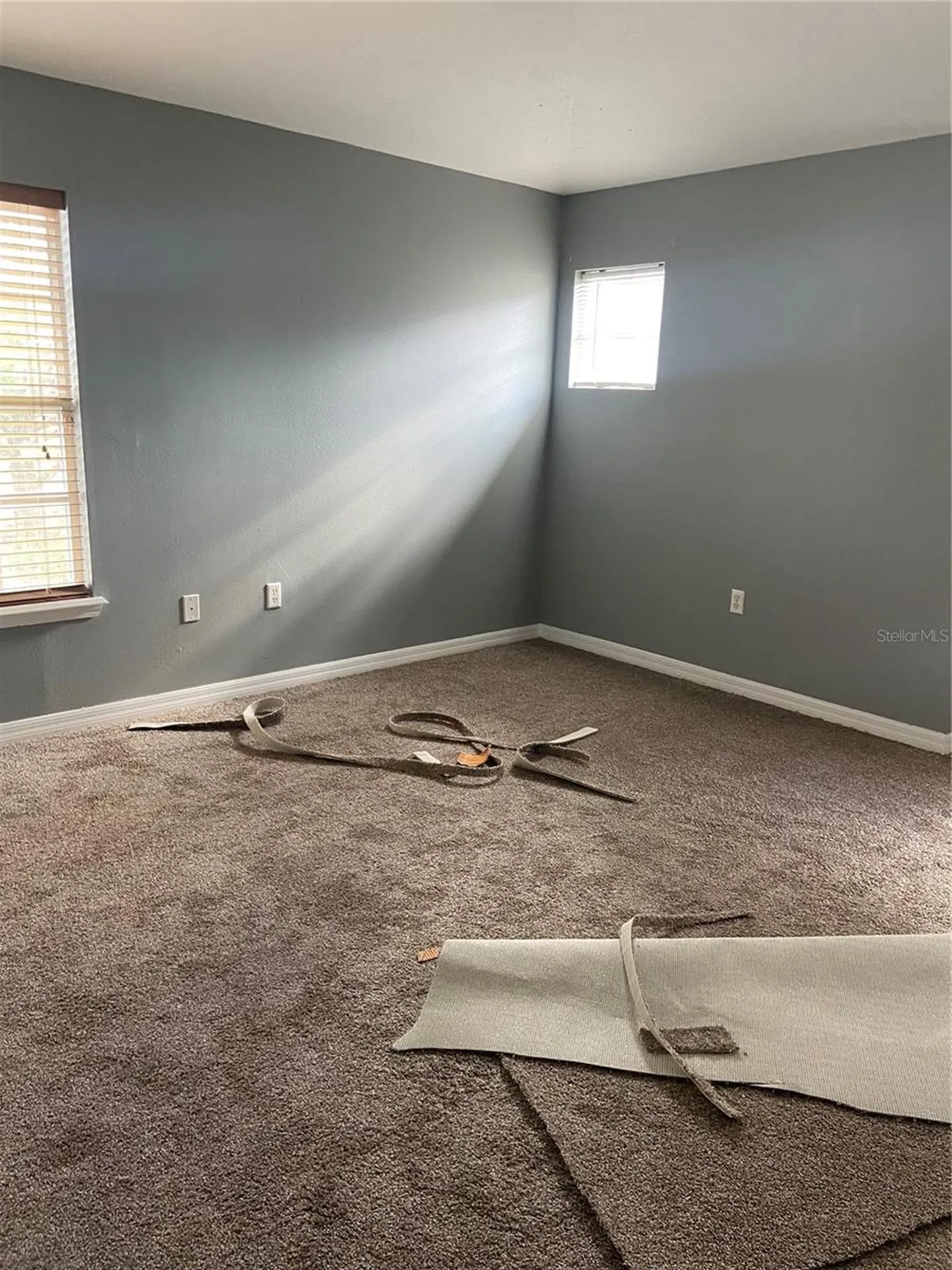 27546 Pleasure Ride Loop Wesley Chapel FL 33544