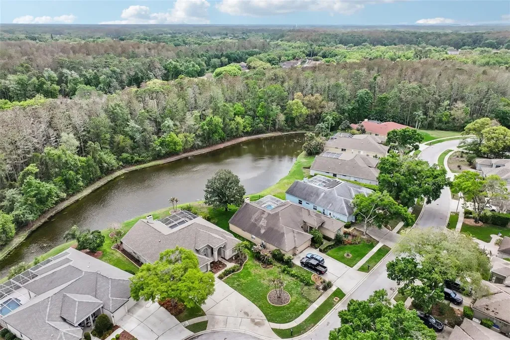 4941 Kylemore Court Palm Harbor FL 34685