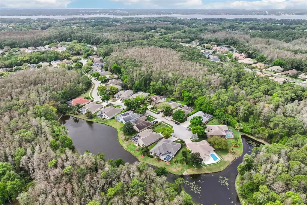 4941 Kylemore Court Palm Harbor FL 34685