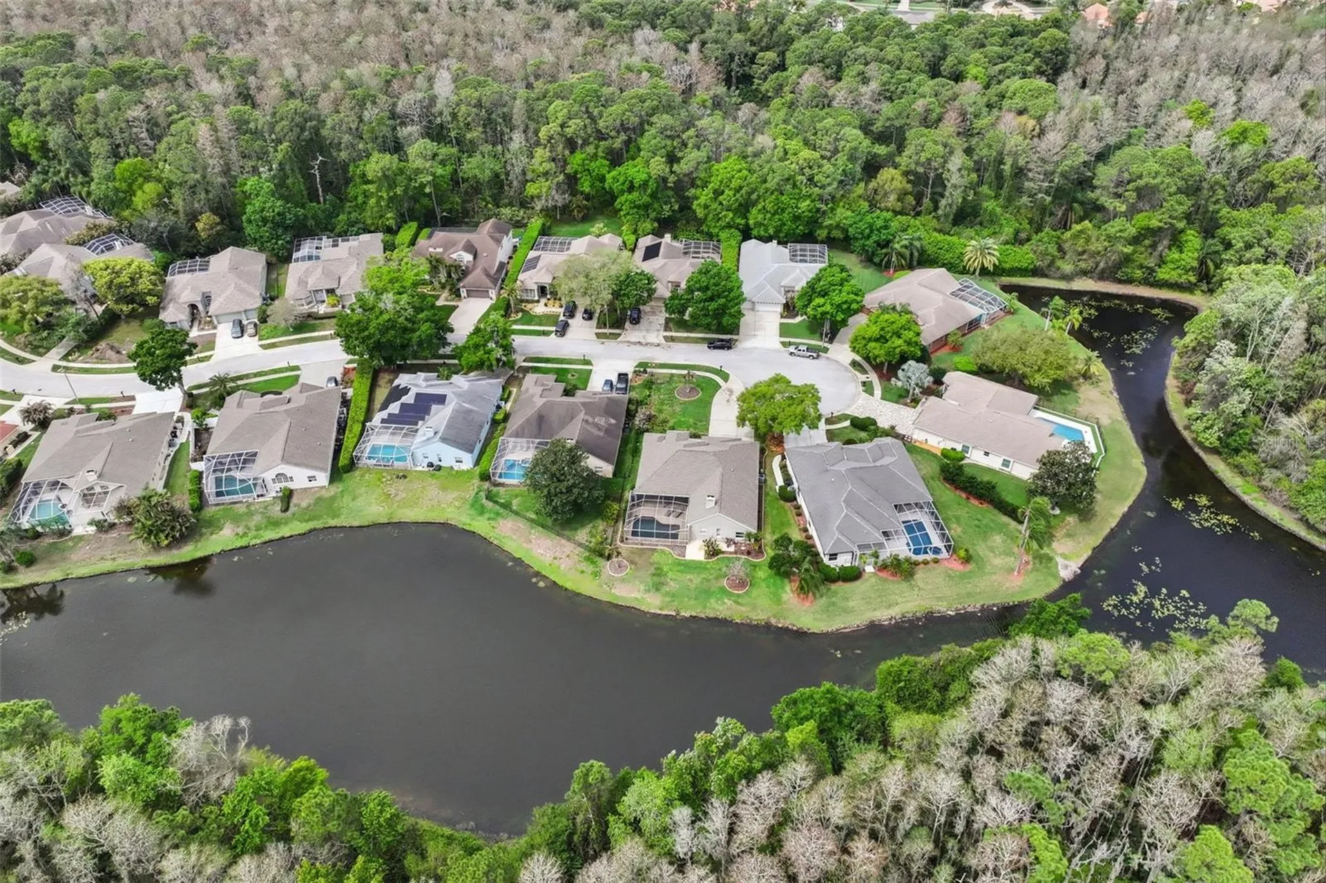 4941 Kylemore Court Palm Harbor FL 34685