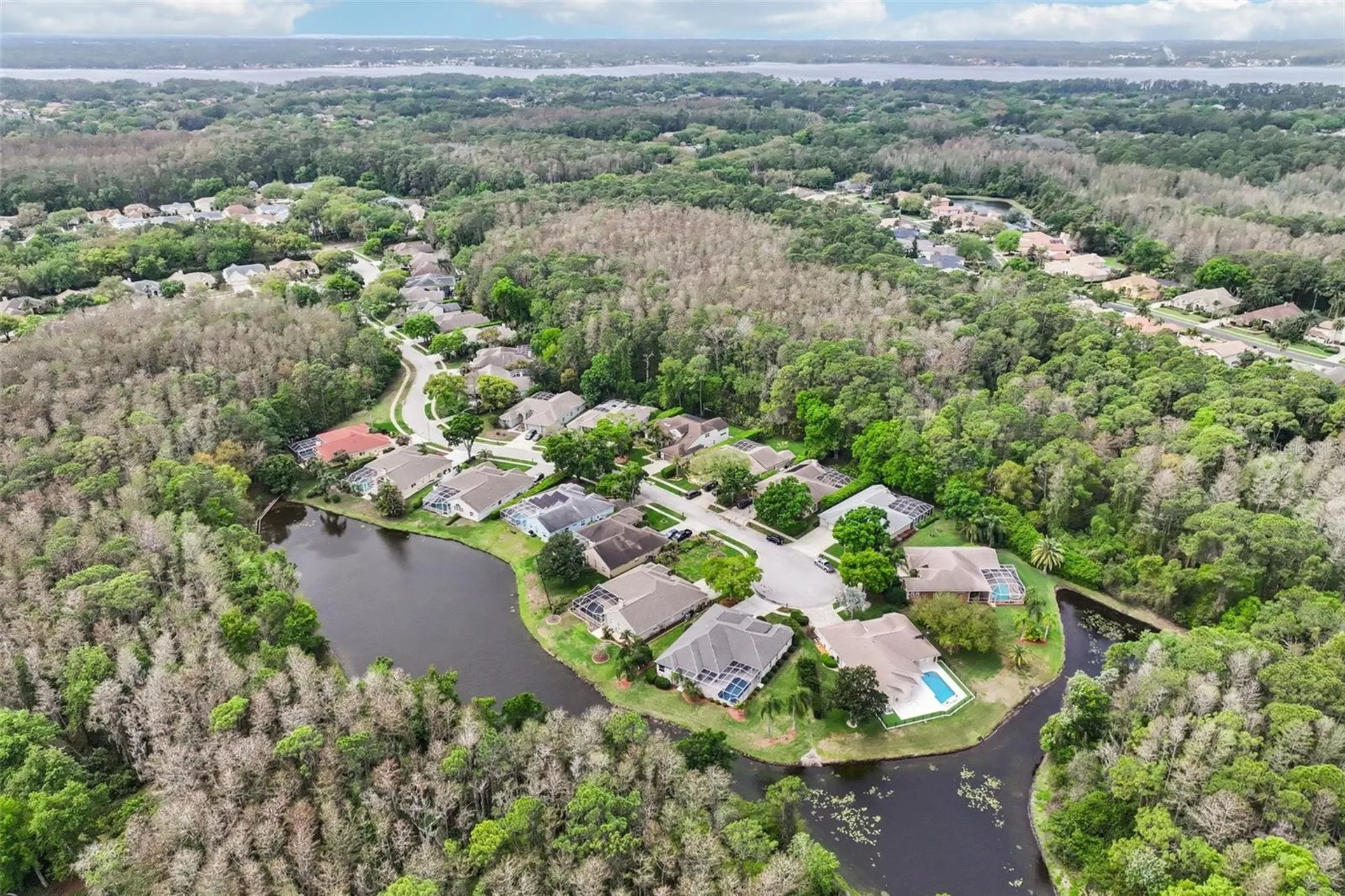 4941 Kylemore Court Palm Harbor FL 34685