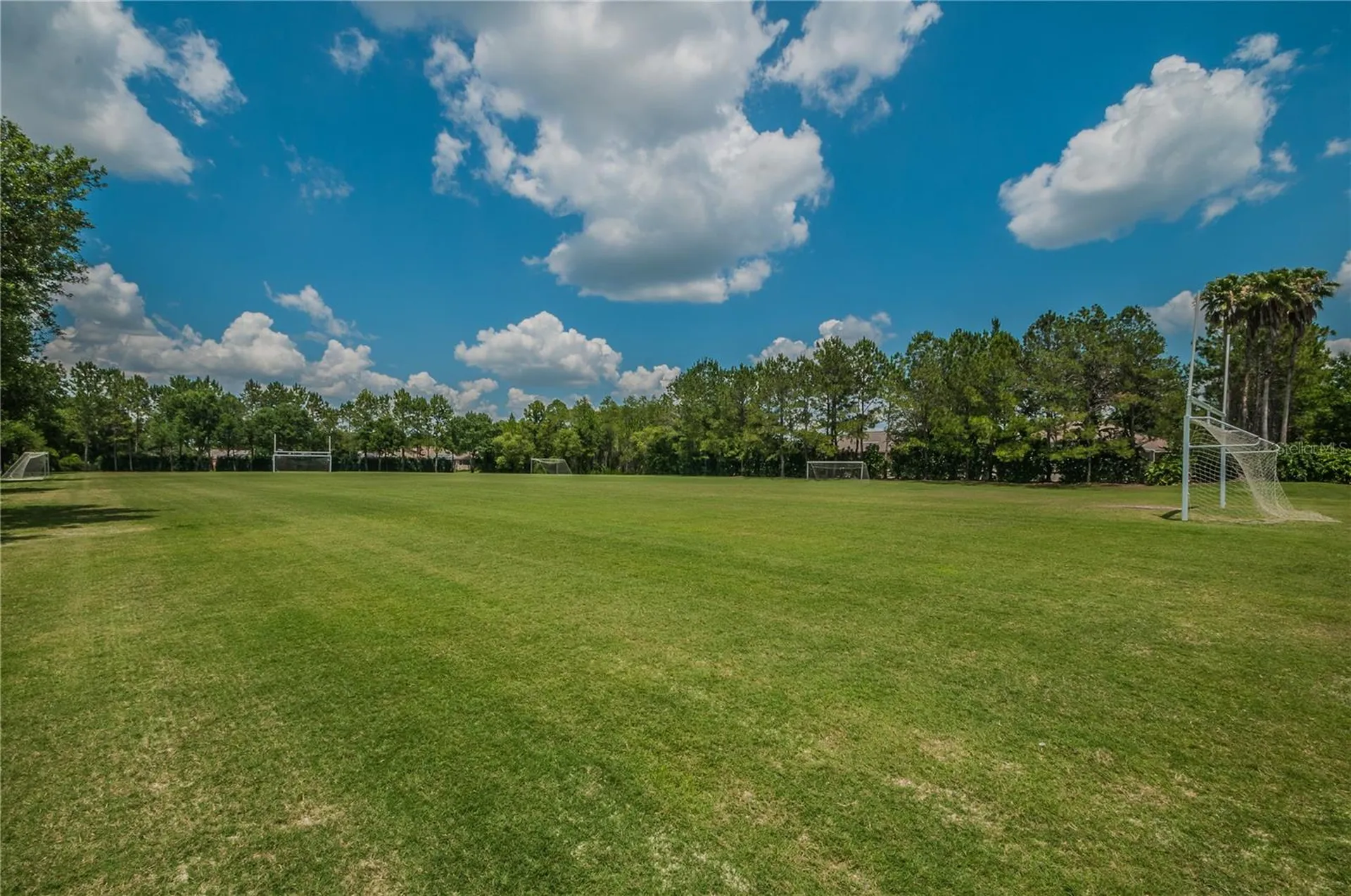 4941 Kylemore Court Palm Harbor FL 34685