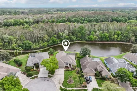 4941 Kylemore Court Palm Harbor FL 34685