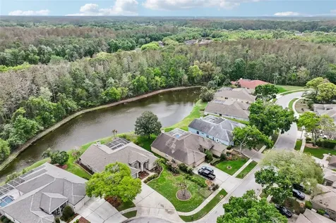 4941 Kylemore Court Palm Harbor FL 34685