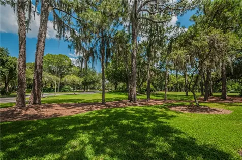 4941 Kylemore Court Palm Harbor FL 34685