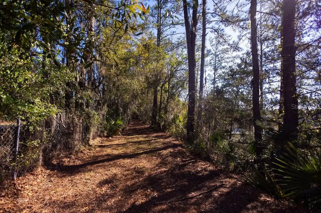 1041 NE 6th Boulevard Williston FL 32696