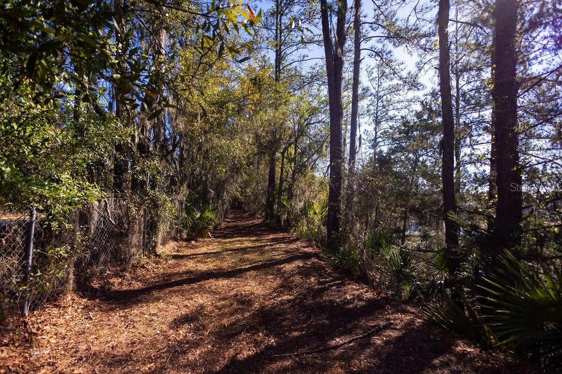 1041 NE 6th Boulevard Williston FL 32696