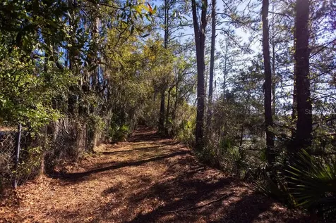 1041 NE 6th Boulevard Williston FL 32696