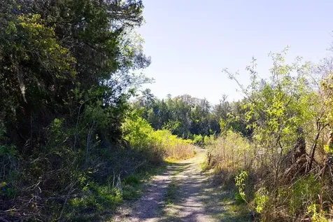 1041 NE 6th Boulevard Williston FL 32696