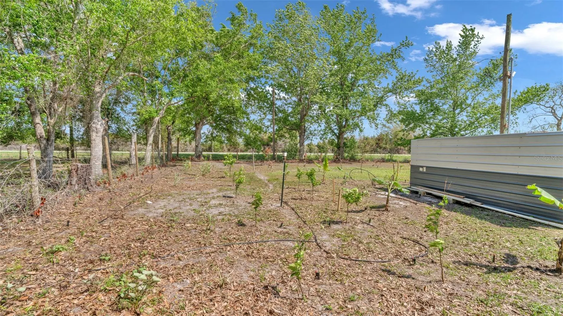 1333 Bluff Hammock Road Lorida FL 33857