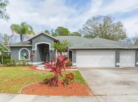 23635 Oakside Boulevard Lutz FL 33559