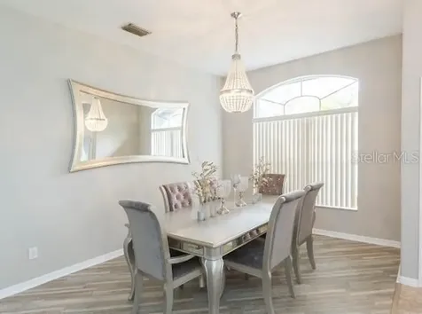 23635 Oakside Boulevard Lutz FL 33559
