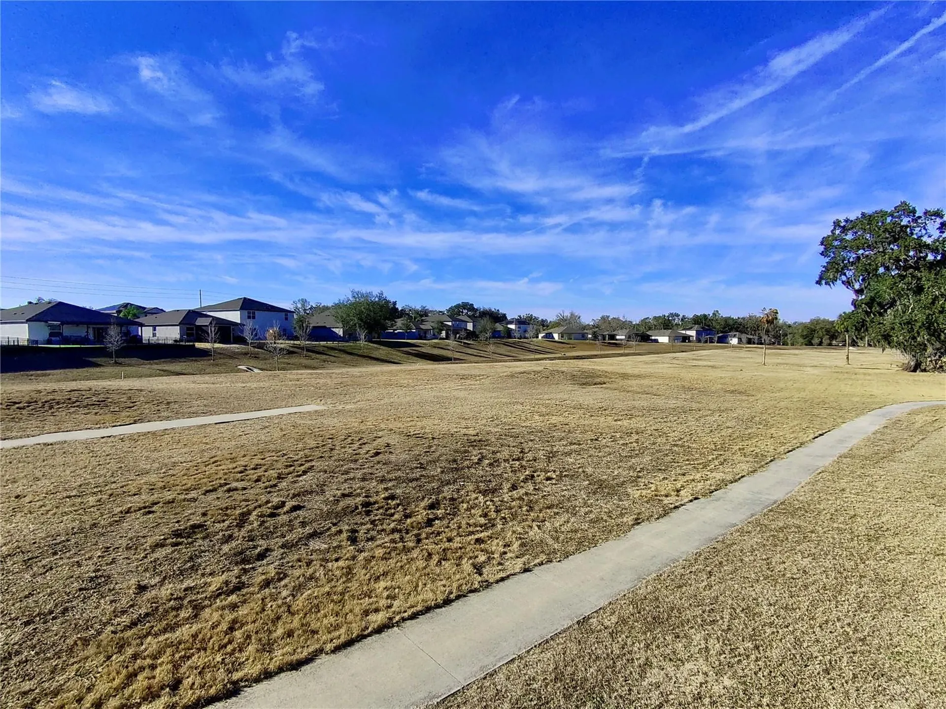 6803 Branham Mill Court Zephyrhills FL 33542