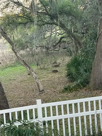 3189 S Graymor Path Inverness FL 34450