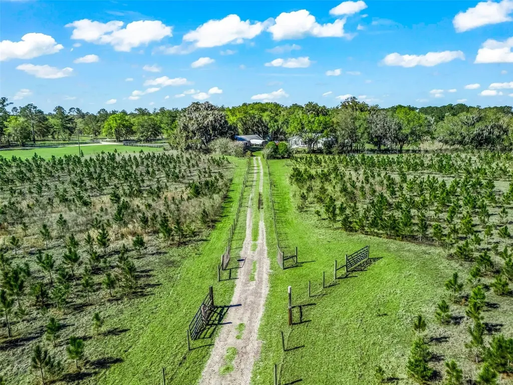 6350 NE 86th Avenue Bronson FL 32621