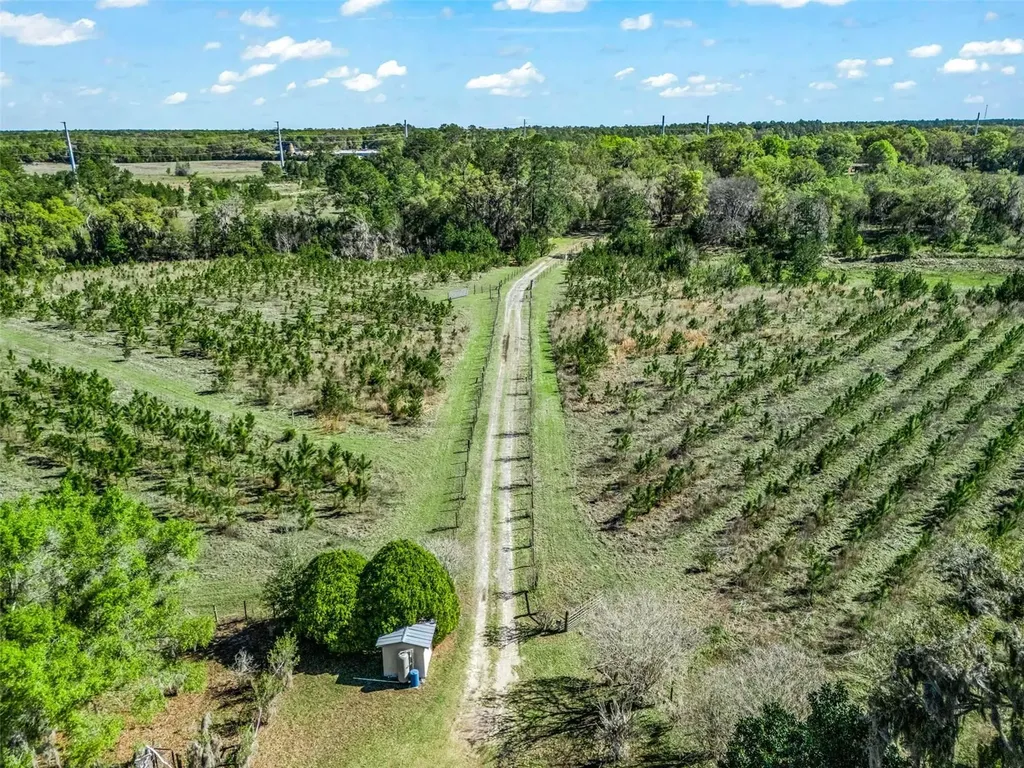 6350 NE 86th Avenue Bronson FL 32621