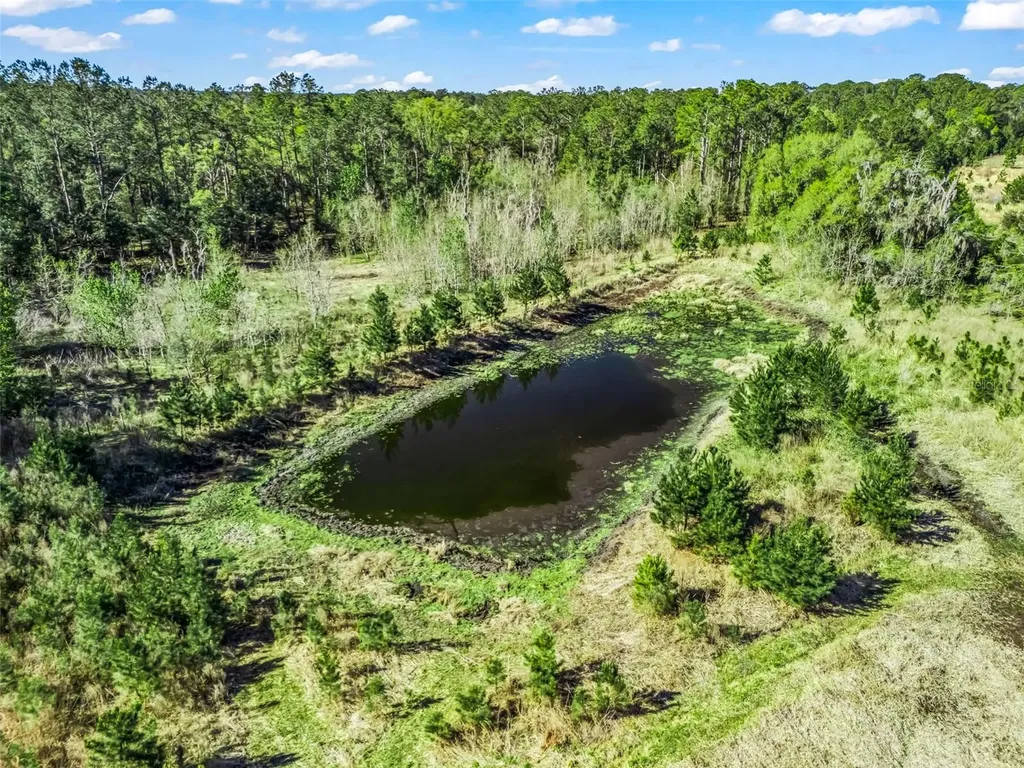 6350 NE 86th Avenue Bronson FL 32621