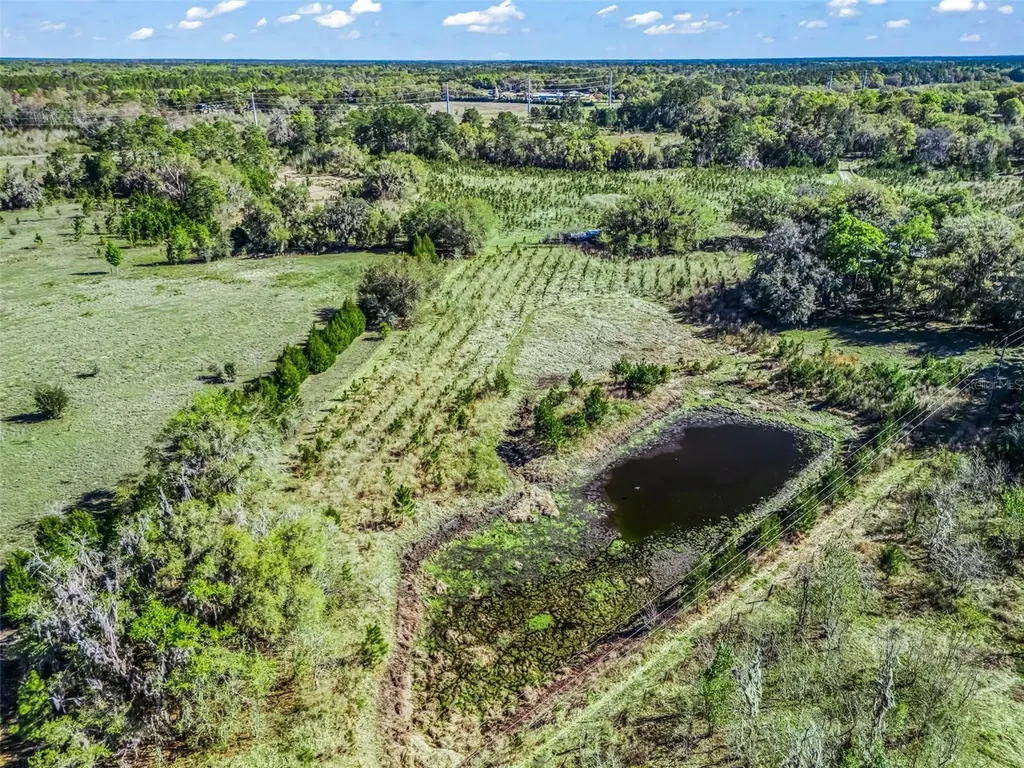 6350 NE 86th Avenue Bronson FL 32621