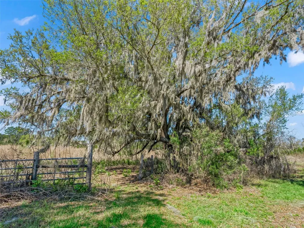 6350 NE 86th Avenue Bronson FL 32621