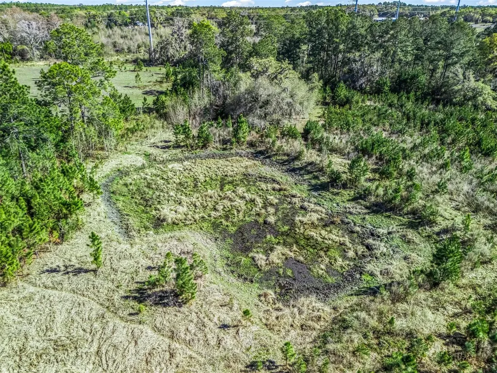6350 NE 86th Avenue Bronson FL 32621