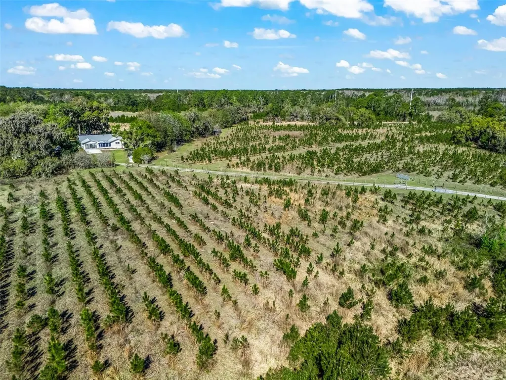 6350 NE 86th Avenue Bronson FL 32621
