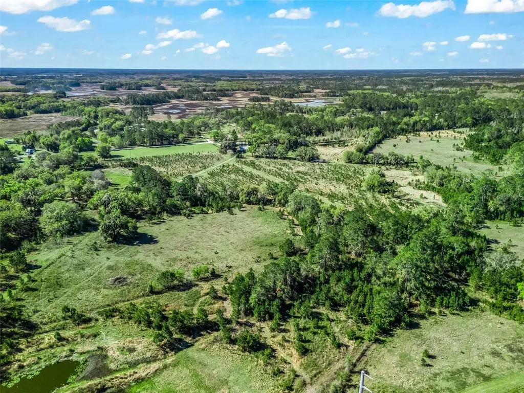 6350 NE 86th Avenue Bronson FL 32621