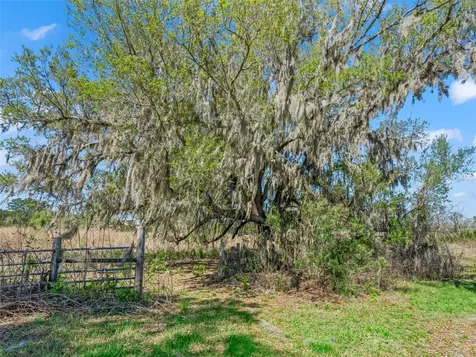 6350 NE 86th Avenue Bronson FL 32621