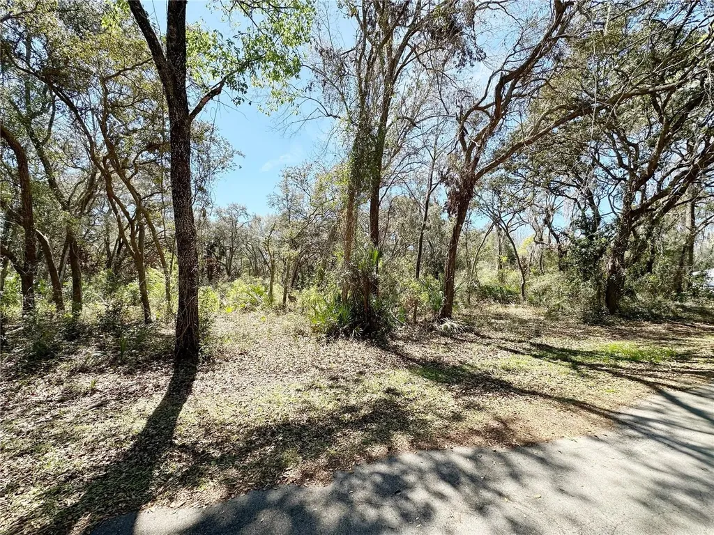 Tbd NW 110th Circle, Lot 3 Chiefland FL 32626