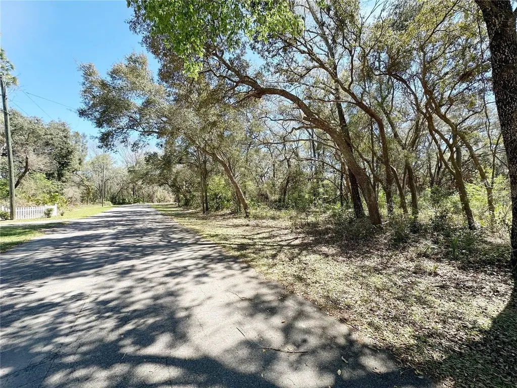 Tbd NW 110th Circle, Lot 3 Chiefland FL 32626