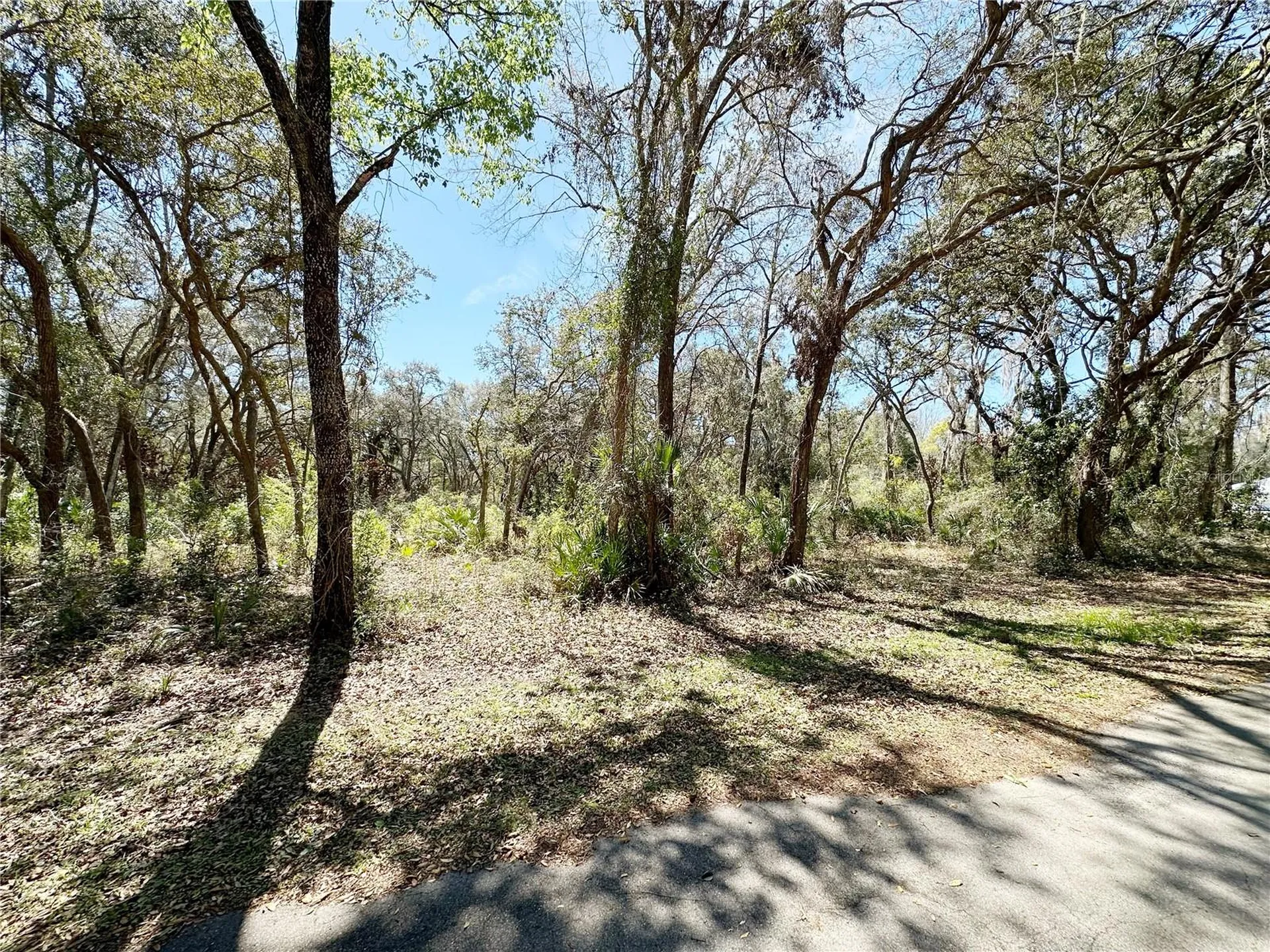 Tbd NW 110th Circle, Lot 3 Chiefland FL 32626