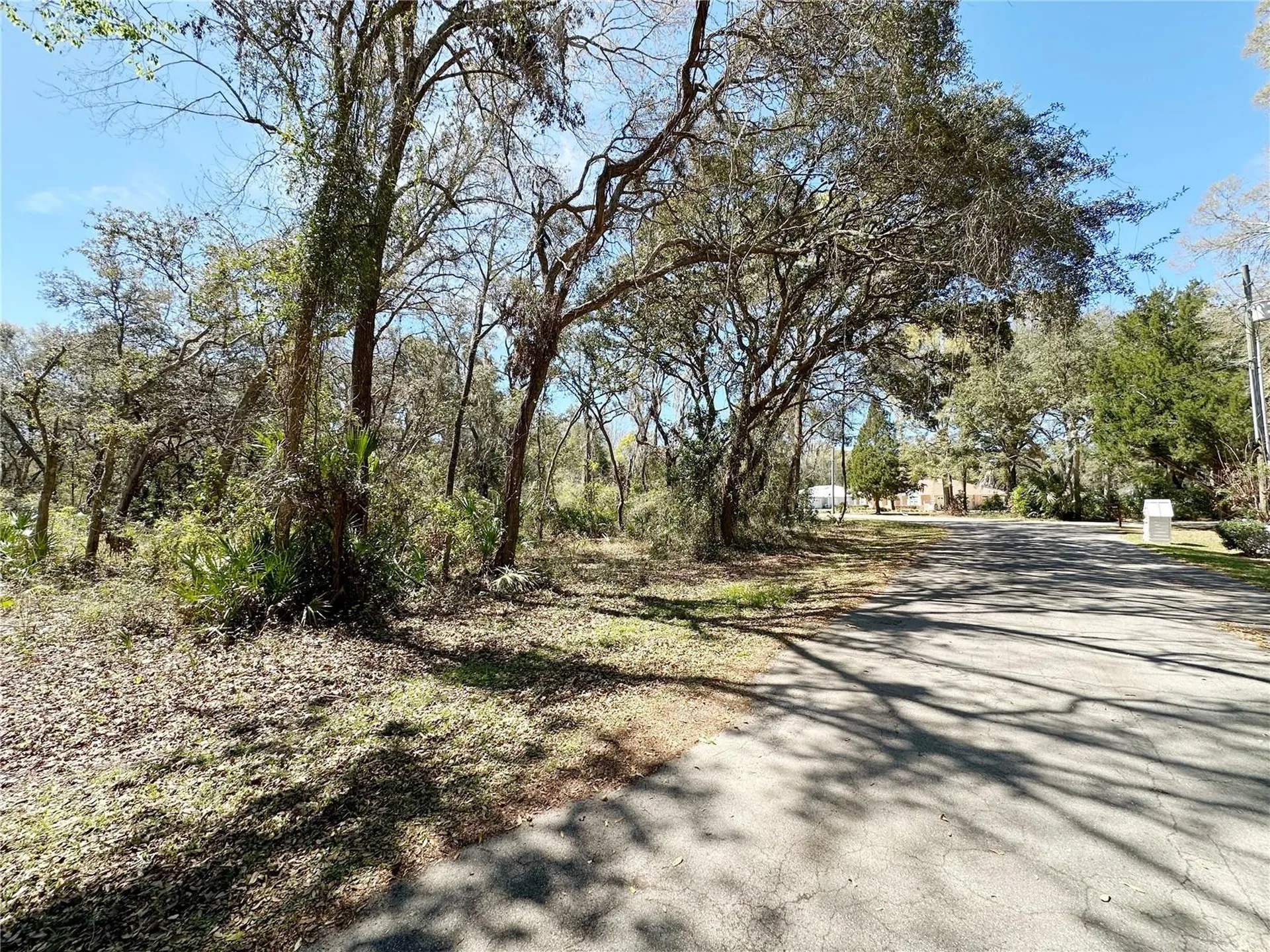 Tbd NW 110th Circle, Lot 3 Chiefland FL 32626
