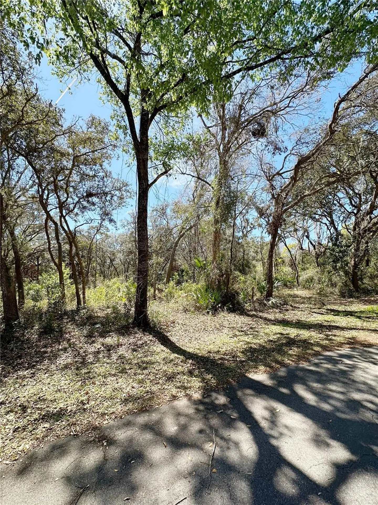 Tbd NW 110th Circle, Lot 3 Chiefland FL 32626