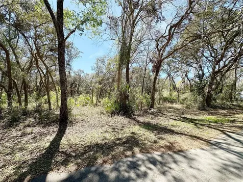 Tbd NW 110th Circle, Lot 3 Chiefland FL 32626