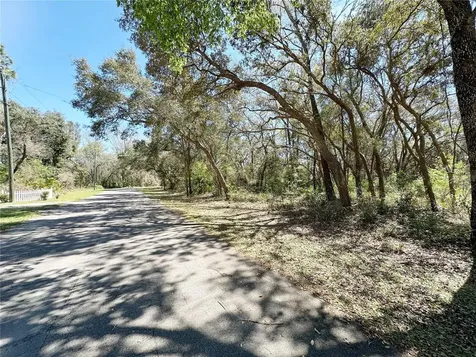 Tbd NW 110th Circle, Lot 3 Chiefland FL 32626