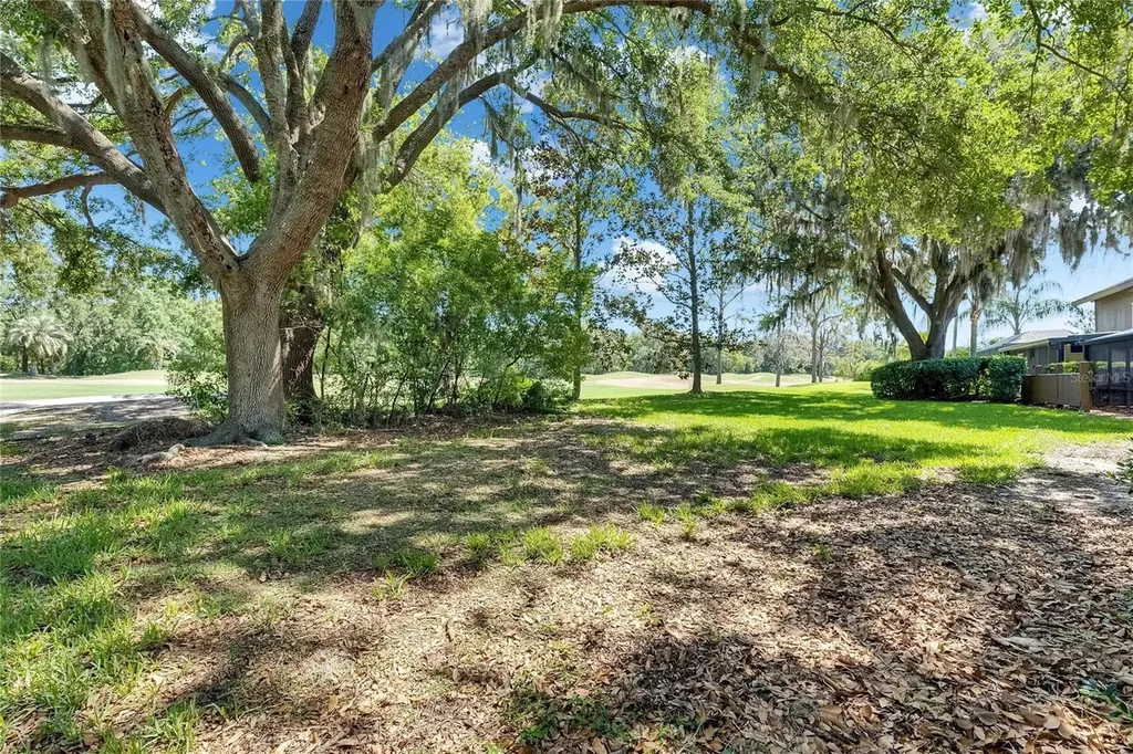 29903 Baywood Lane Wesley Chapel FL 33543