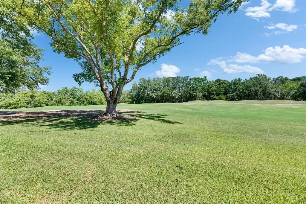 29903 Baywood Lane Wesley Chapel FL 33543