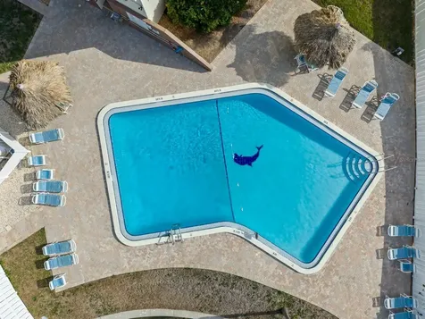 255 Dolphin Point Clearwater Beach FL 33767