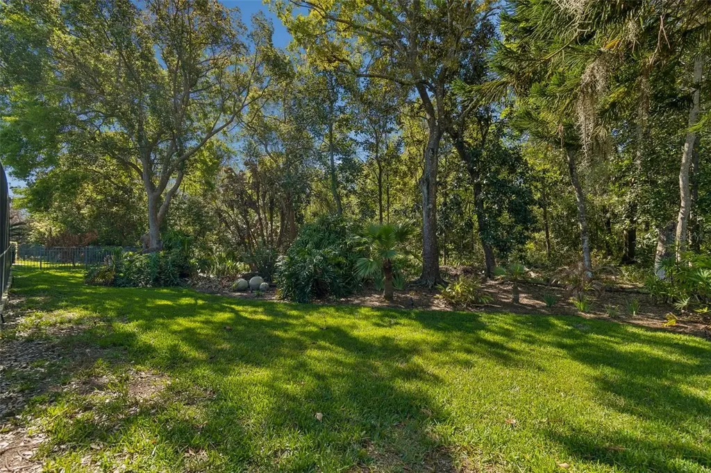 21314 Marsh Hawk Drive Land O Lakes FL 34638