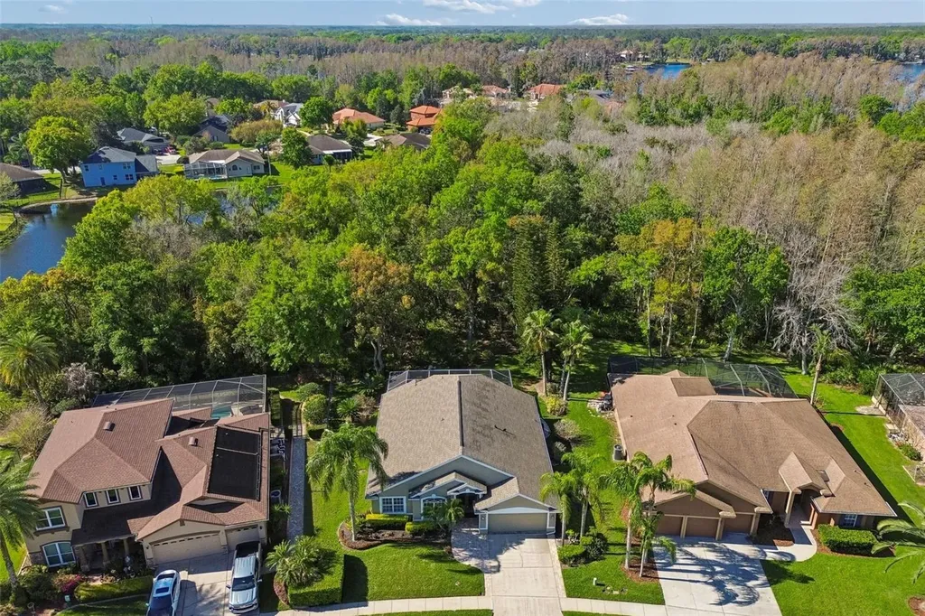 21314 Marsh Hawk Drive Land O Lakes FL 34638
