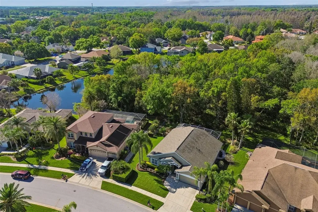 21314 Marsh Hawk Drive Land O Lakes FL 34638
