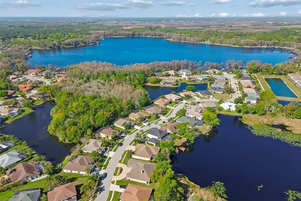 21314 Marsh Hawk Drive Land O Lakes FL 34638