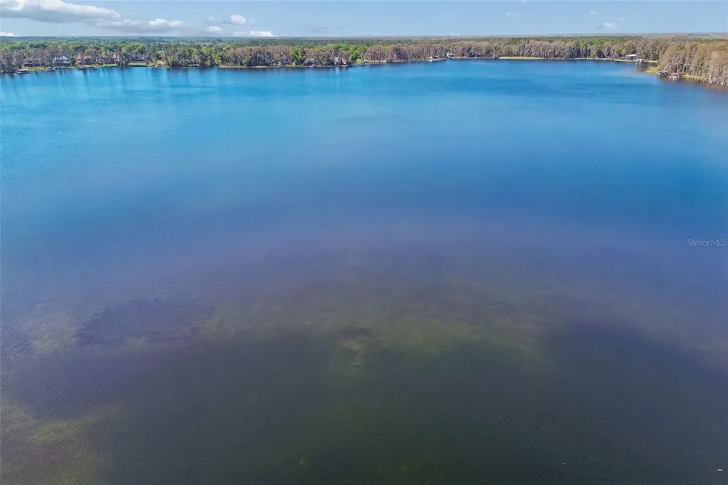 21314 Marsh Hawk Drive Land O Lakes FL 34638