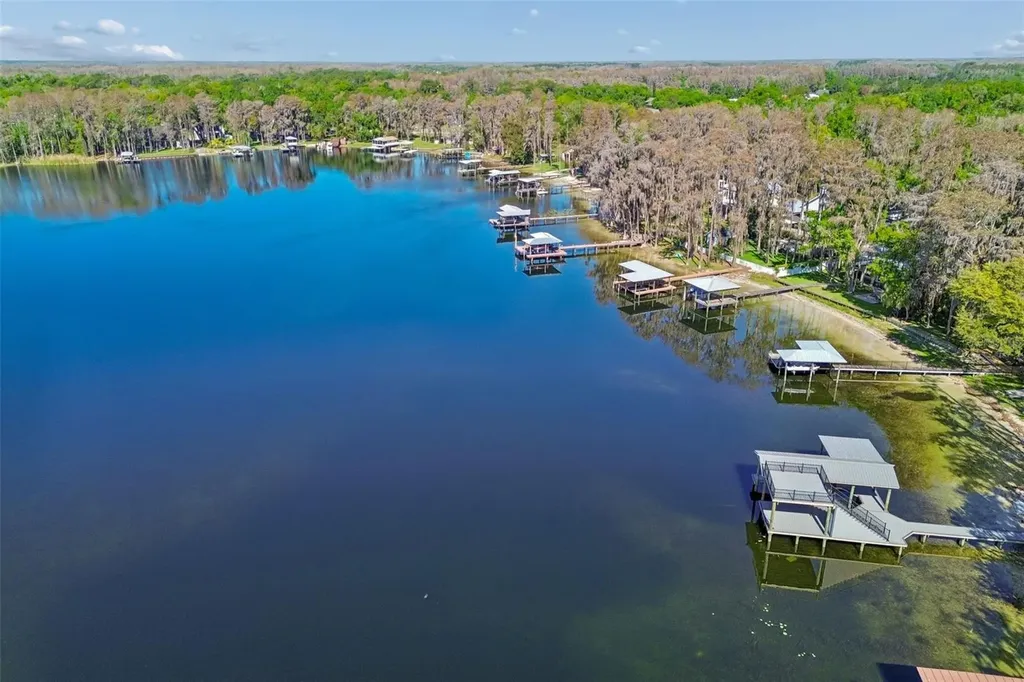 21314 Marsh Hawk Drive Land O Lakes FL 34638