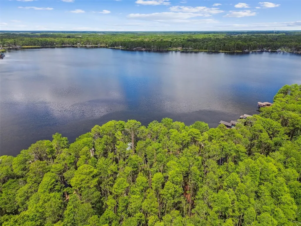21314 Marsh Hawk Drive Land O Lakes FL 34638