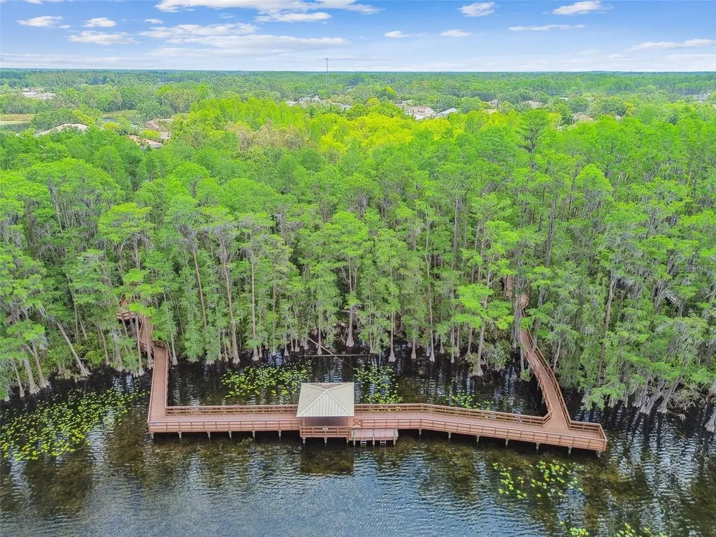 21314 Marsh Hawk Drive Land O Lakes FL 34638