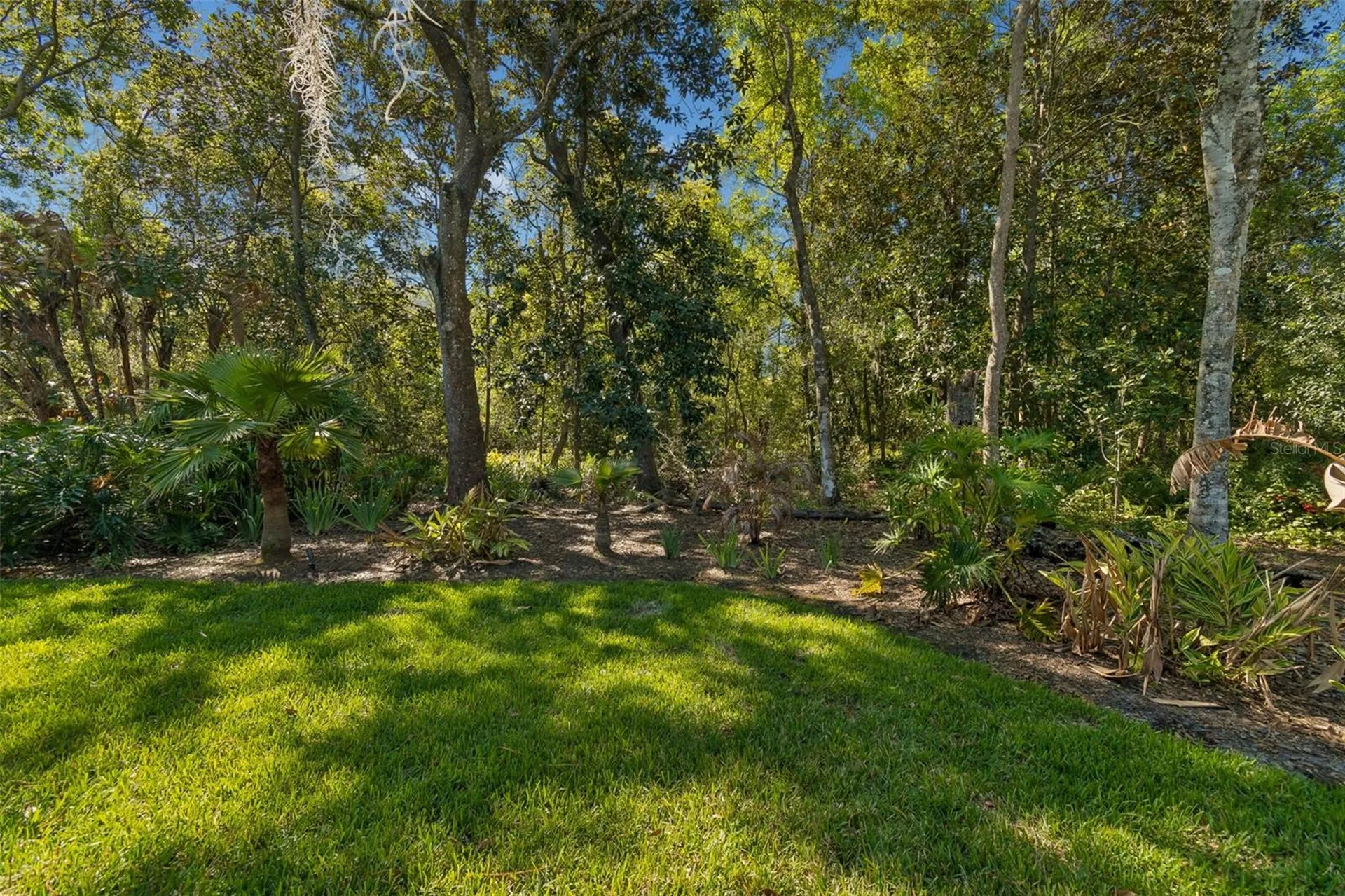 21314 Marsh Hawk Drive Land O Lakes FL 34638